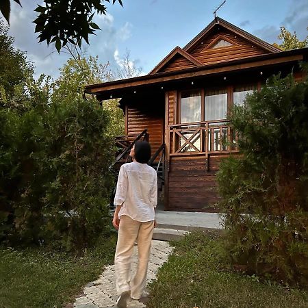 Poiana Bradului Complex Hotelier & Restaurant Colonita Εξωτερικό φωτογραφία