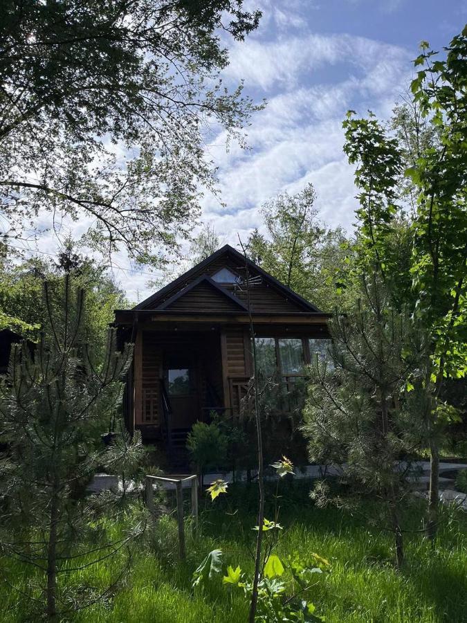Poiana Bradului Complex Hotelier & Restaurant Colonita Εξωτερικό φωτογραφία